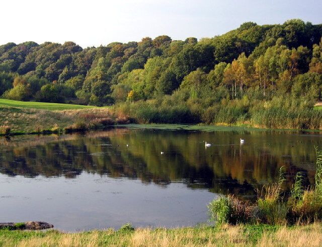 Derwenthaugh Park, Winlaton Mill. The site of the former Derwenthaugh Coke Works, now a particularly beautiful part of the Derwent Walk
