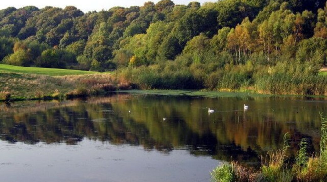 Derwenthaugh Park, Winlaton Mill. The site of the former Derwenthaugh Coke Works, now a particularly beautiful part of the Derwent Walk