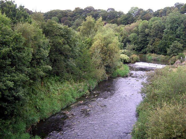 River from bridge Taken while out Geocaching, lovely park for a walk.