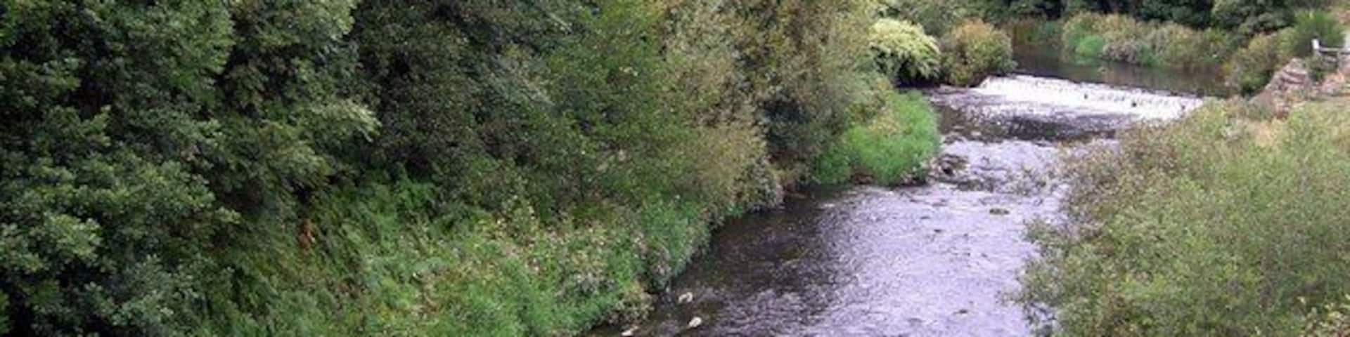 A river flowing through a densely wooded area with lush greenery and a stone bridge in the background.