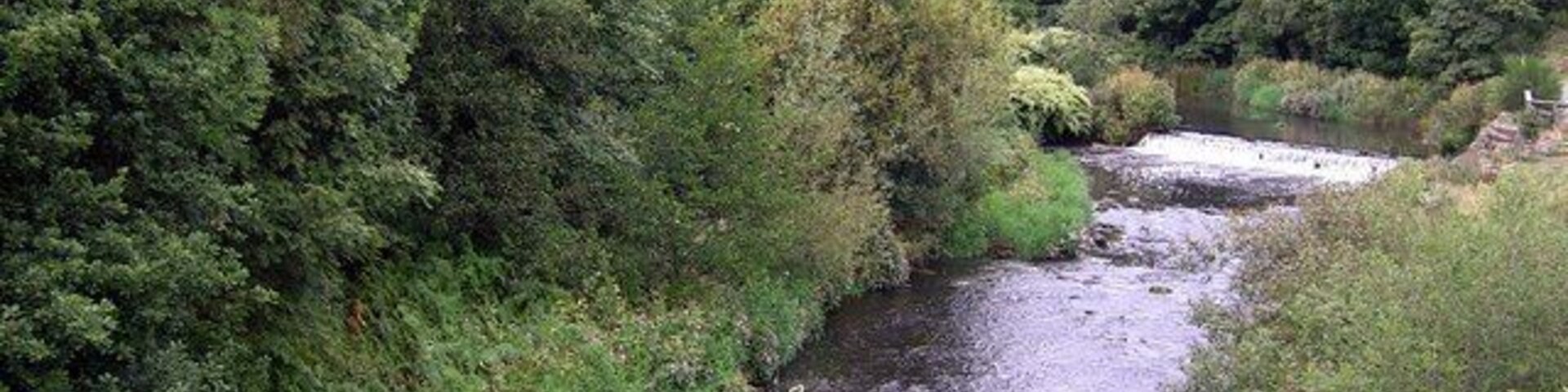 Un río serpentea por una zona boscosa densa, con abundante vegetación y un puente de piedra al fondo.