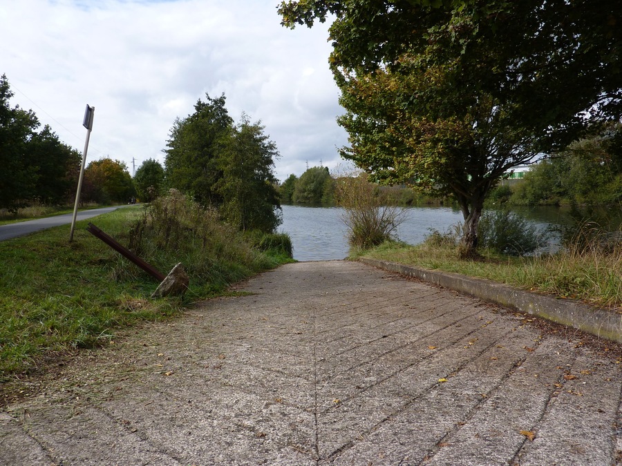 A paved pathway leading to a body of water, surrounded by trees and grass.