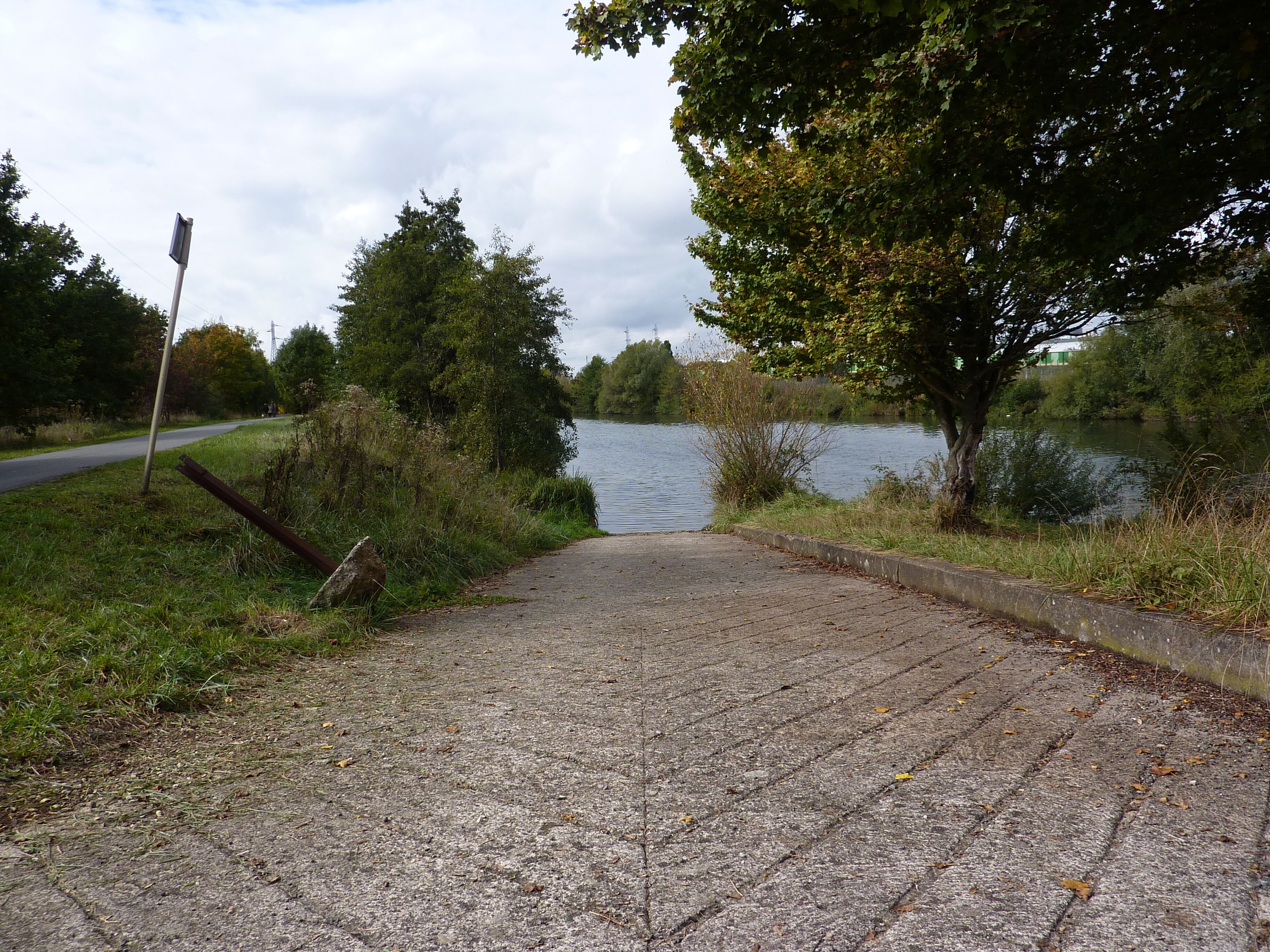A paved pathway leading to a body of water, surrounded by trees and grass.