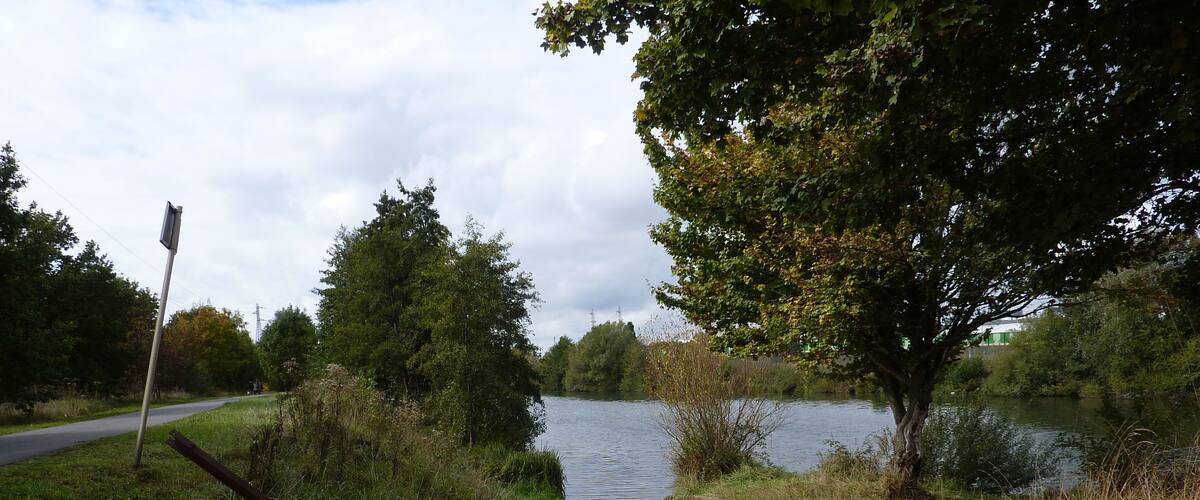 A paved pathway leading to a body of water, surrounded by trees and grass.