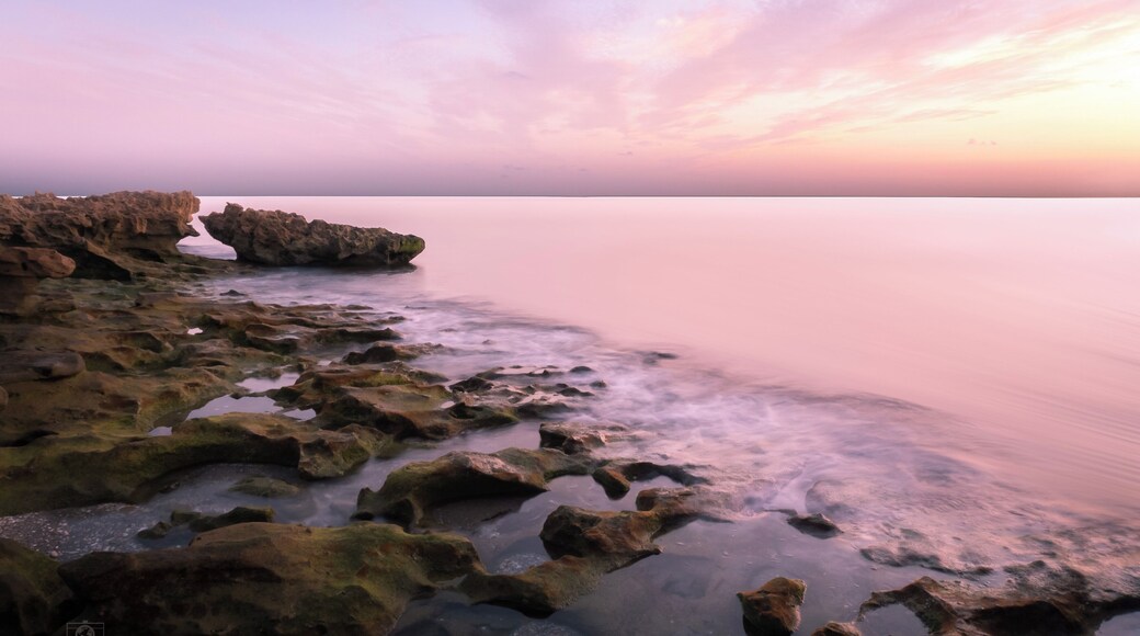 Can’t go wrong with sunrise in Florida