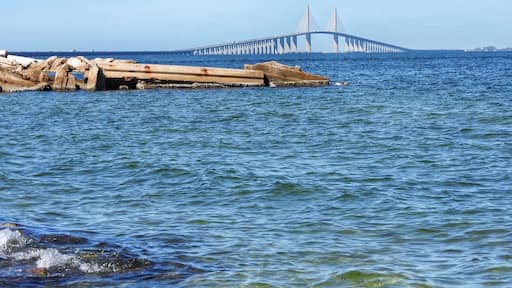 The Bob Graham Sunshine Skyway Bridge, known to locals as the Sunshine Skyway Bridge or more casually the Skyway, is a bridge spanning Tampa Bay, Florida, with a cable-stayed main span, and a total length of 21,877 feet (4.1434 mi; 6.668 km). It is part of Interstate 275 (I-275) and U.S. Route 19 (US 19), connecting St. Petersburg in Pinellas County and Terra Ceia in Manatee County, Florida.
#bridge