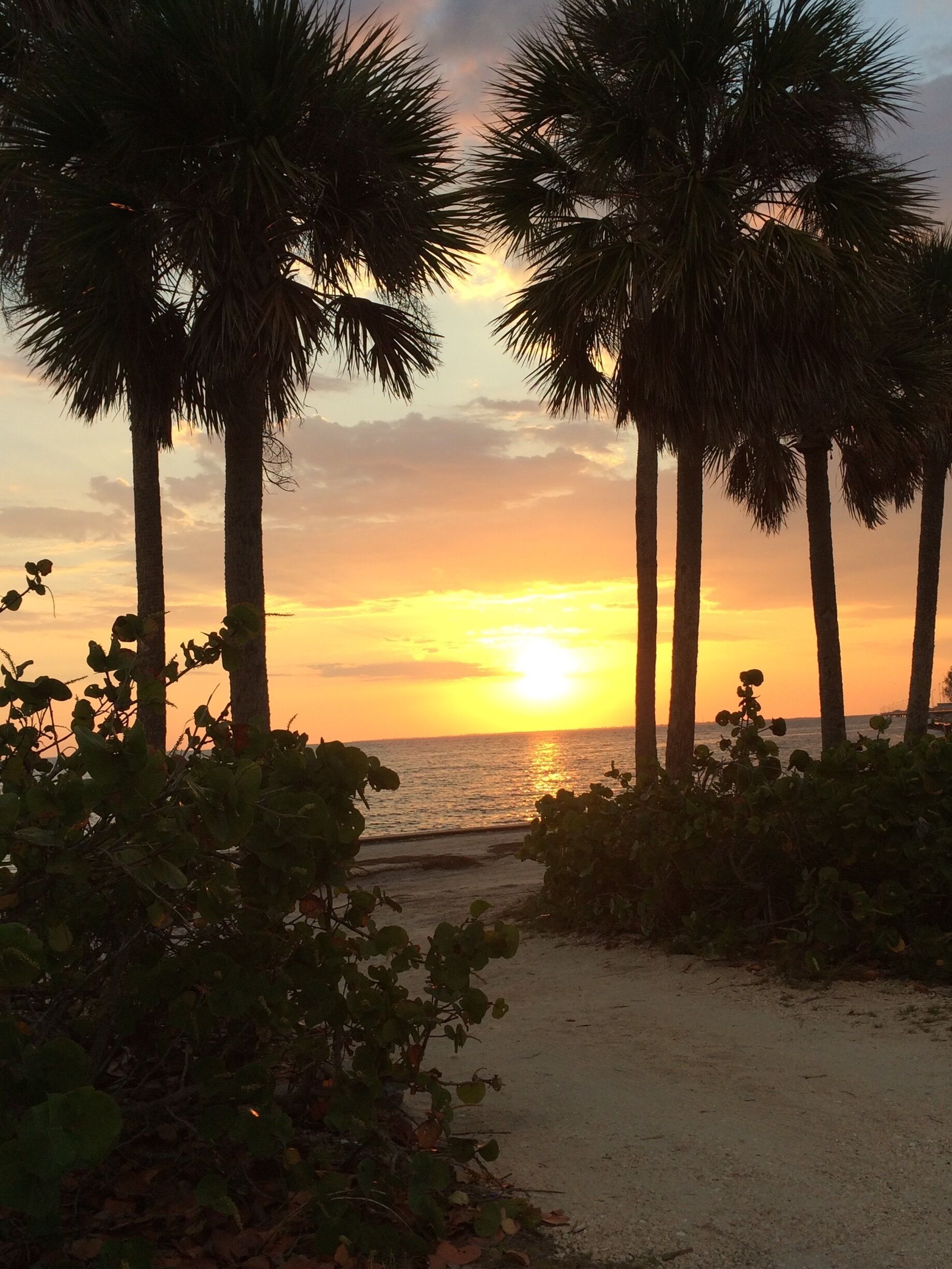 Just a quick stop to admire the sunset!