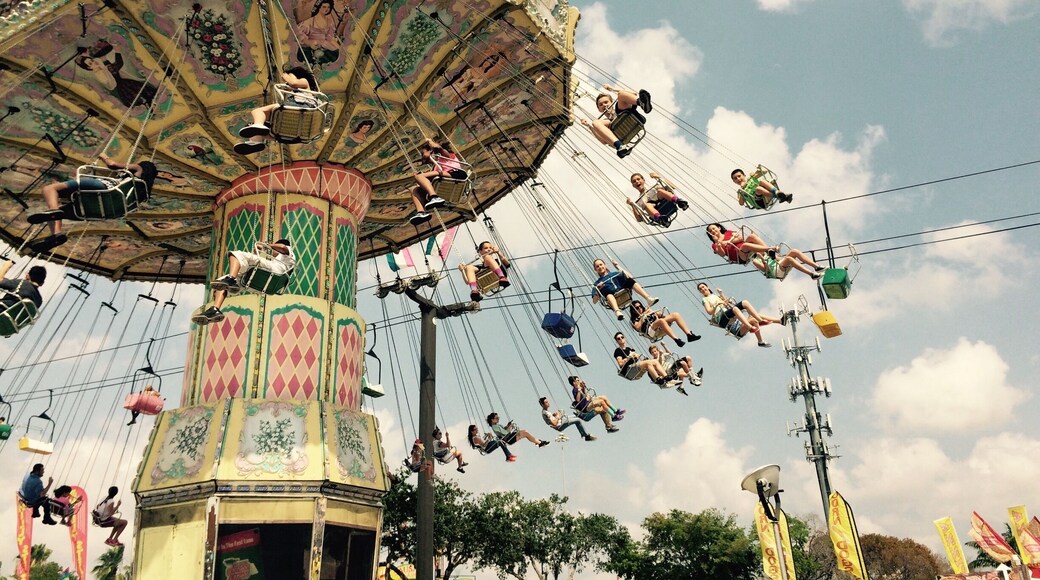 Captured at the Annual Miami Dade County Youth Fair Grounds.