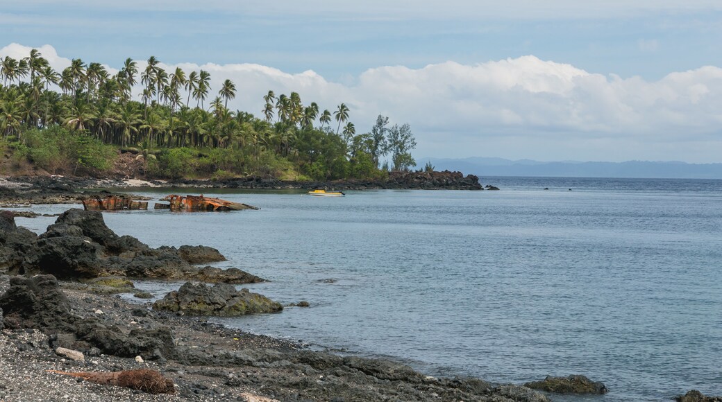 View to the bay with voulcanic stones and palms, Craig Cove, Ambrym, Vanuatu