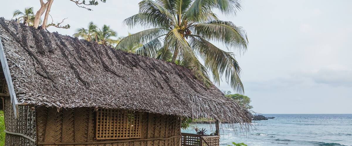 A thatched-roof hut with a wooden deck by the ocean, palm trees, and rocky shoreline.