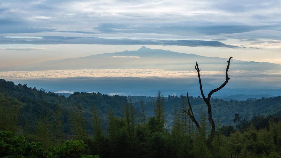 A mountain range with a forested valley and a clear sky.