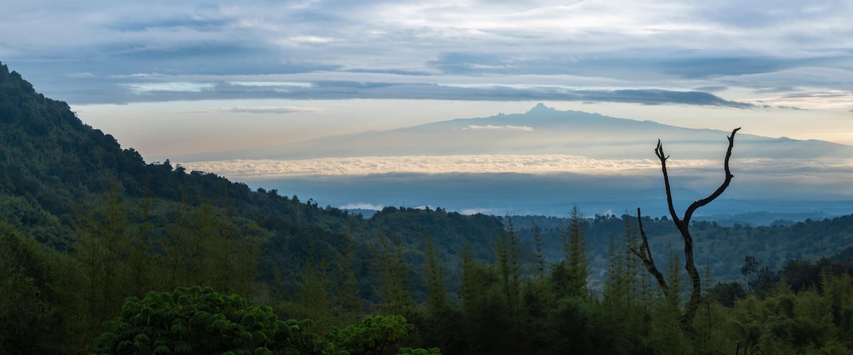 A mountain range with a forested valley and a clear sky.