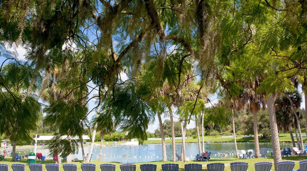 Warm Mineral Springs In North Port, Florida