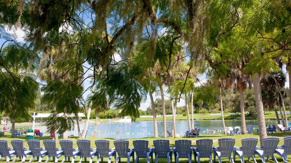 Warm Mineral Springs In North Port, Florida