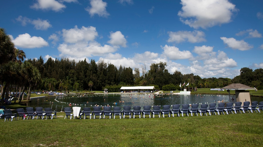 Warm Mineral Springs In North Port, Florida