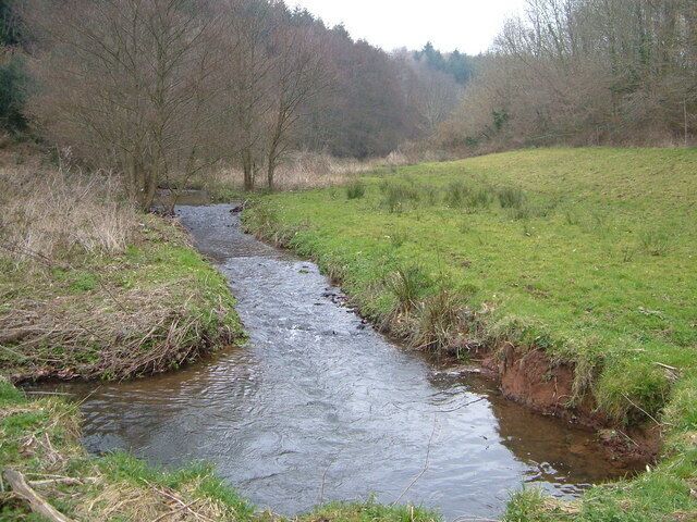 Ideford Combe. A meander in the brook flowing through this narrow wooded valley. View looking east by north upstream.