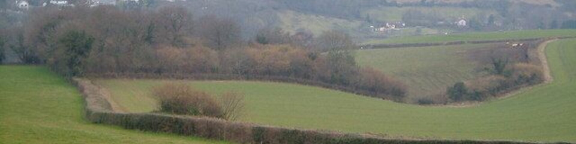 Ideford Combe from Hestow Road. Looking WNW across the square, with a re-entrant dropping down to meet the valley emerging from the wooded Ideford Combe (r), and the ribbon development on the old main road (l) now the B3195.