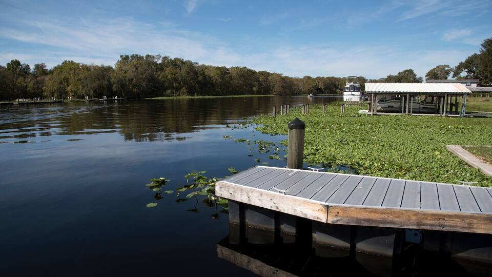 A calm lake with a wooden dock extending into the water, surrounded by lush greenery and a covered pavilion.