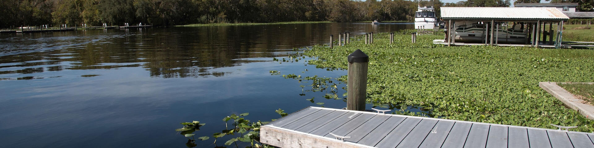 St Johns River in Volusia County Florida USA - October 2016 - A metal landing stage on the St Johns River close to DeLand Fl