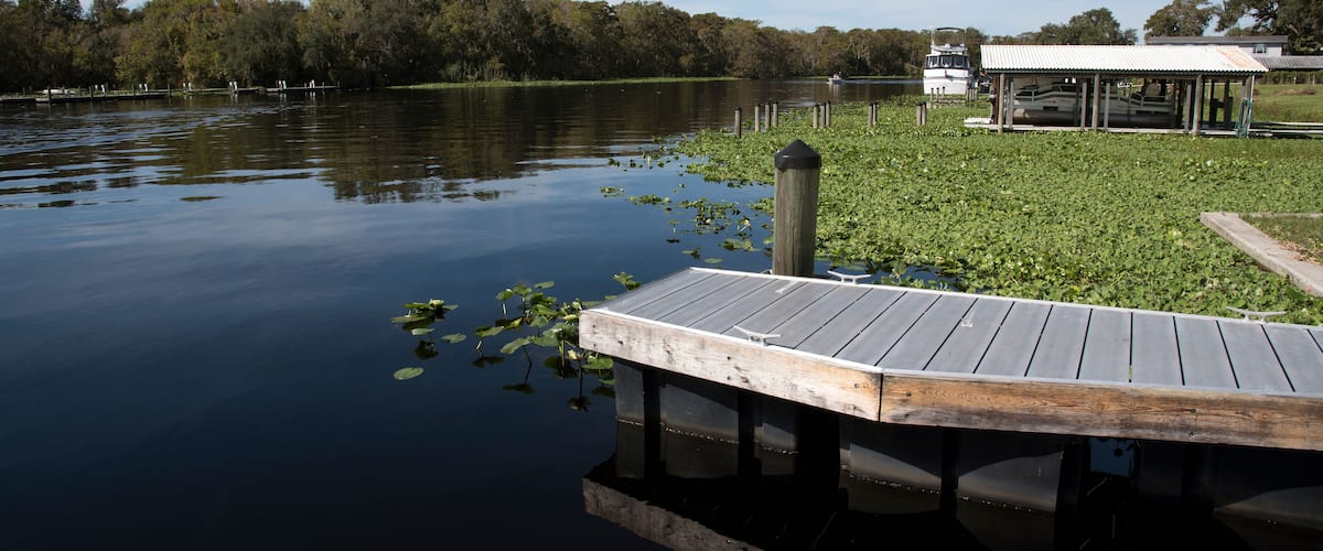 A calm lake with a wooden dock extending into the water, surrounded by lush greenery and a covered pavilion.