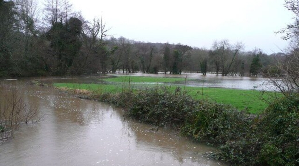 Flooded Huntshaw meets the Torridge View west of the bridge at Weare Giffard.