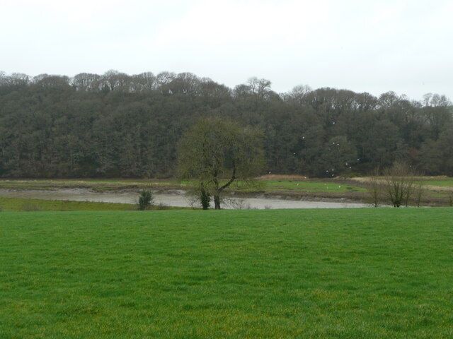 River Torridge Looking north across the valley to the wooded river cliff beyond.