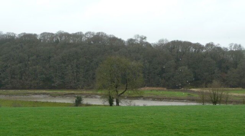 River Torridge Looking north across the valley to the wooded river cliff beyond.