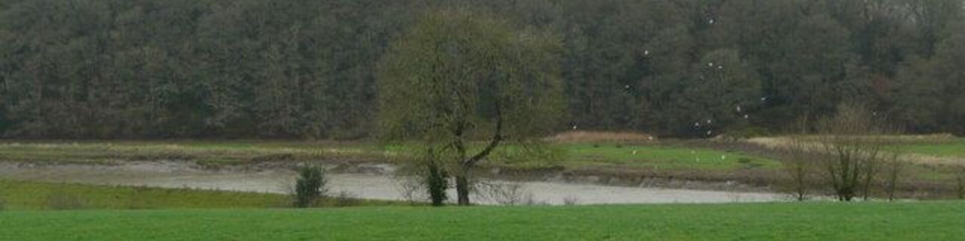 Um campo gramado com um rio e árvores ao fundo.