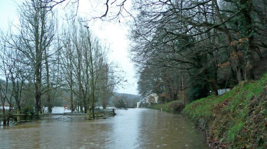 Flooded Torridge at Weare Giffard Invading the valley road and cutting the village in half. This isn't the river; it's the road!