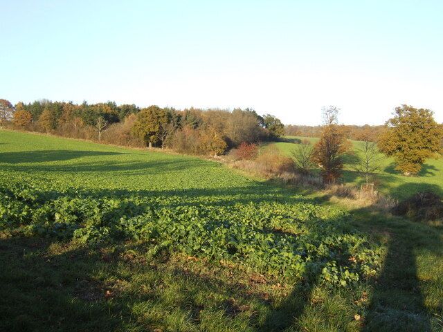 Charlotte's Wood The scene by the Herefordshire trail near its start-point at Kentchurch. This will be a blaze of yellow rape in 5 months time.