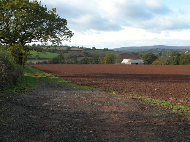 Farmland in the Monnow valley Farmland at SO403262, viewed from the road between Kentchurch and Pontrilas