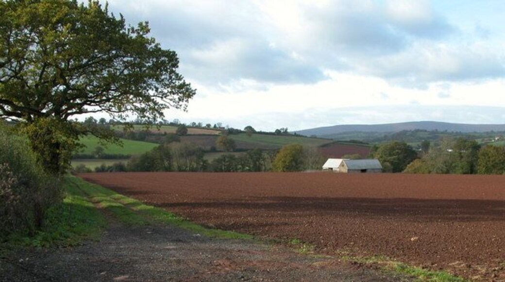 Farmland in the Monnow valley Farmland at SO403262, viewed from the road between Kentchurch and Pontrilas