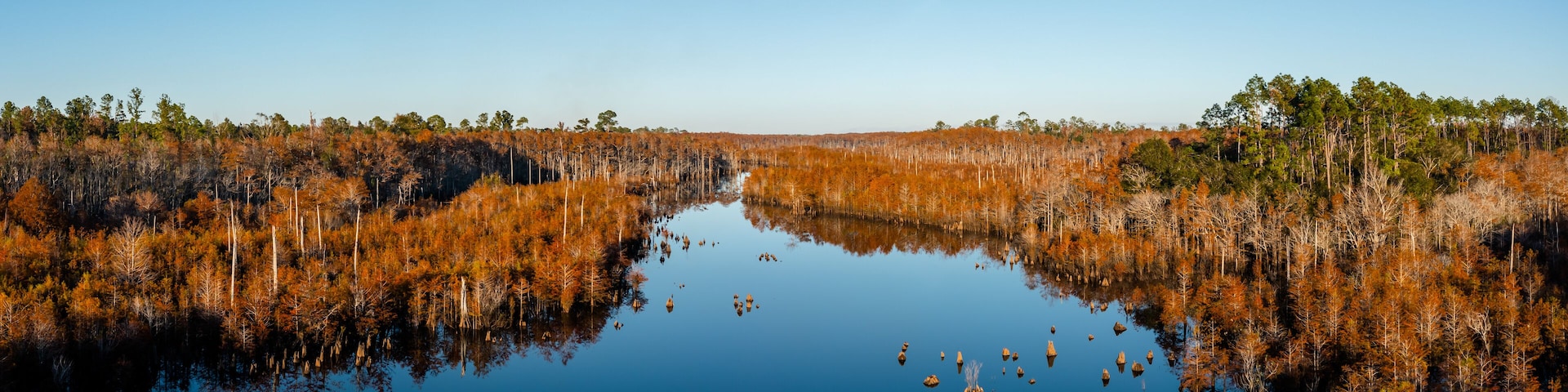 Fall | Dead Lakes | Wewahitchka, Florida