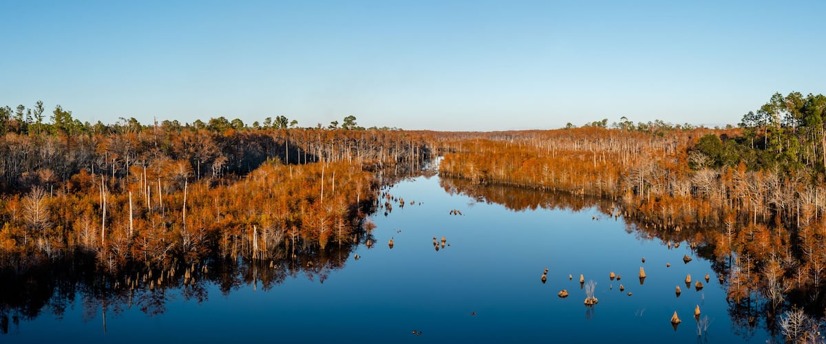A calm river surrounded by autumn-colored trees and a clear sky.