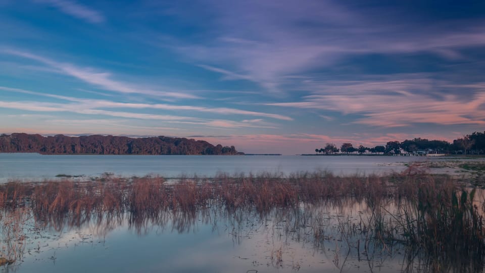 A calm lake with reeds in the foreground, a distant shoreline with trees, and a sky with soft clouds.