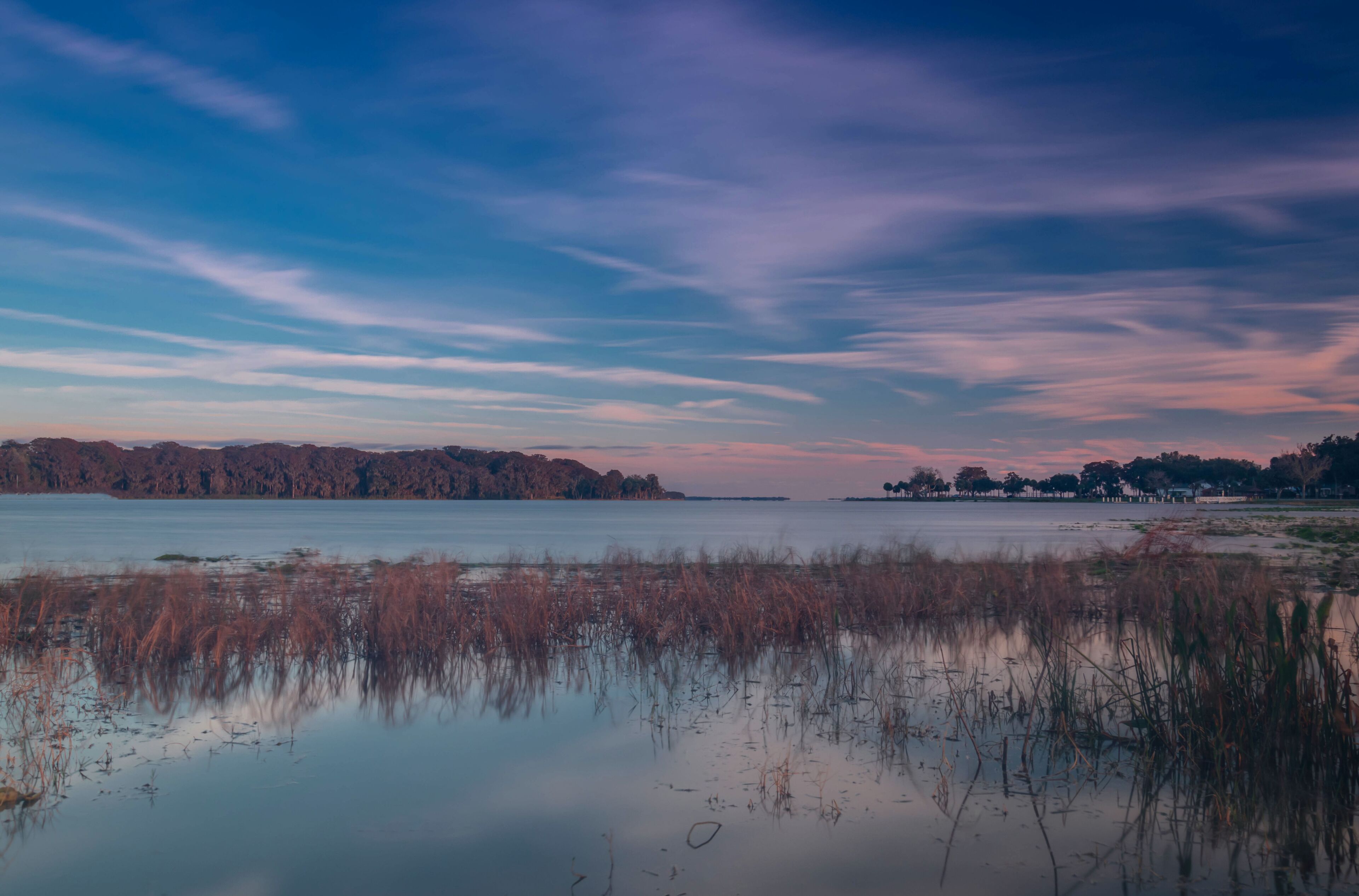 A calm lake with reeds in the foreground, a distant shoreline with trees, and a sky with soft clouds.