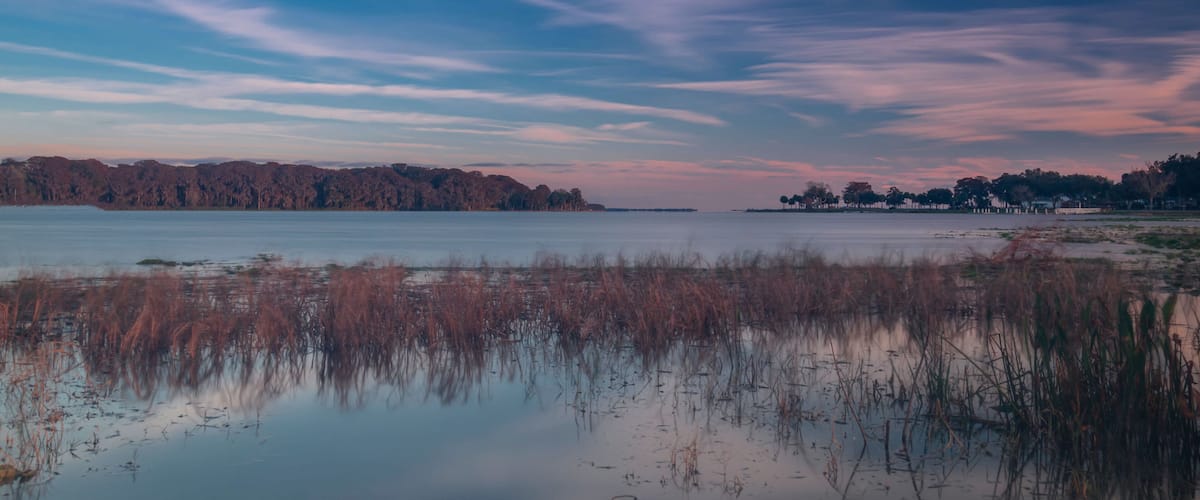 A calm lake with reeds in the foreground, a distant shoreline with trees, and a sky with soft clouds.