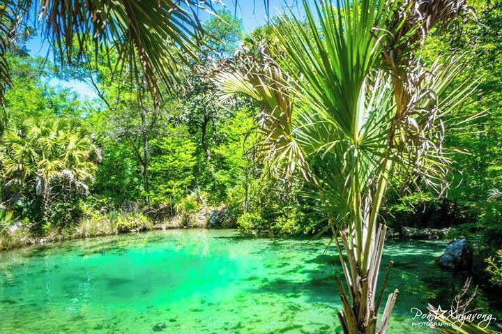 Beautiful clear water Natural spring  to swim at in the summer time