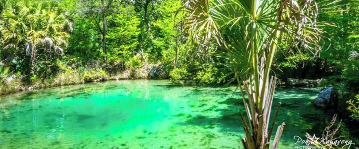 Beautiful clear water Natural spring to swim at in the summer time