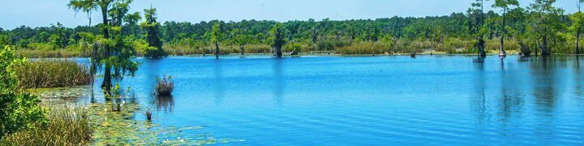 Nice little park for fishing and enjoy the moss trees view.