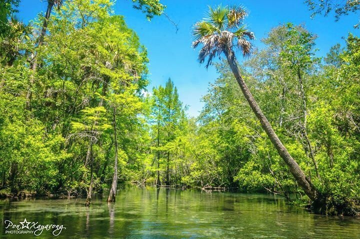Beautiful clear water Natural spring  to swim at in the summer time