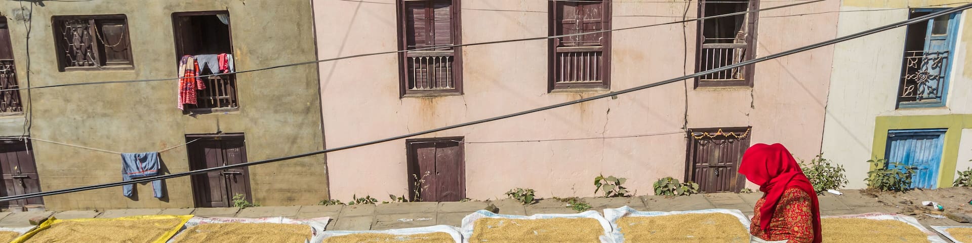 Panorama of a woman in traditional nepalese dress drying rice in Kirtipur, Nepal