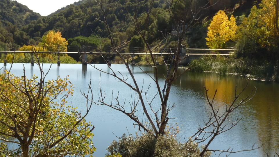 A bridge over a calm river, surrounded by dense forest and hills.