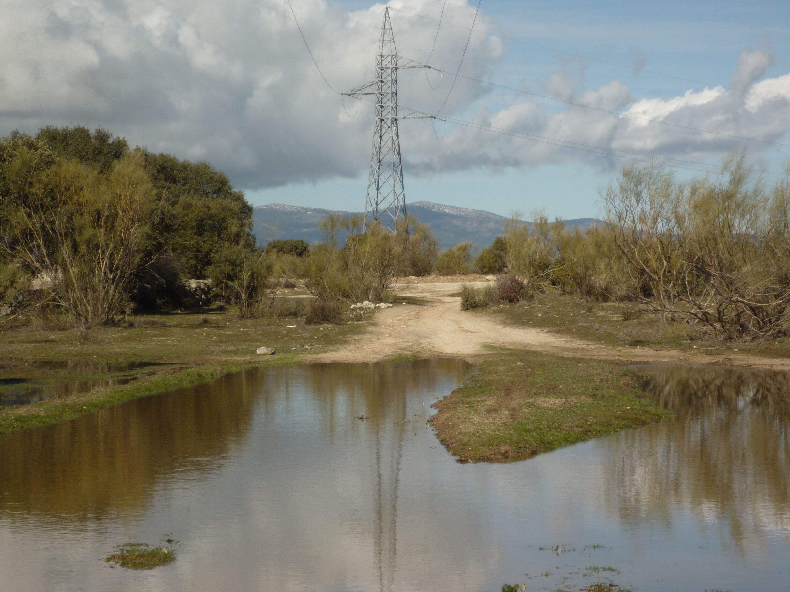 Colmenarejo, 28270, Madrid, Spain
