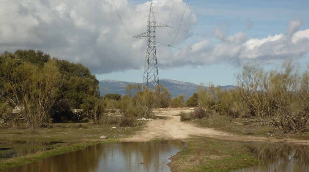 Colmenarejo, 28270, Madrid, Spain