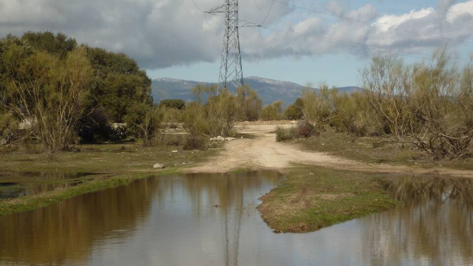 A river with a dirt path leading to a power line tower.