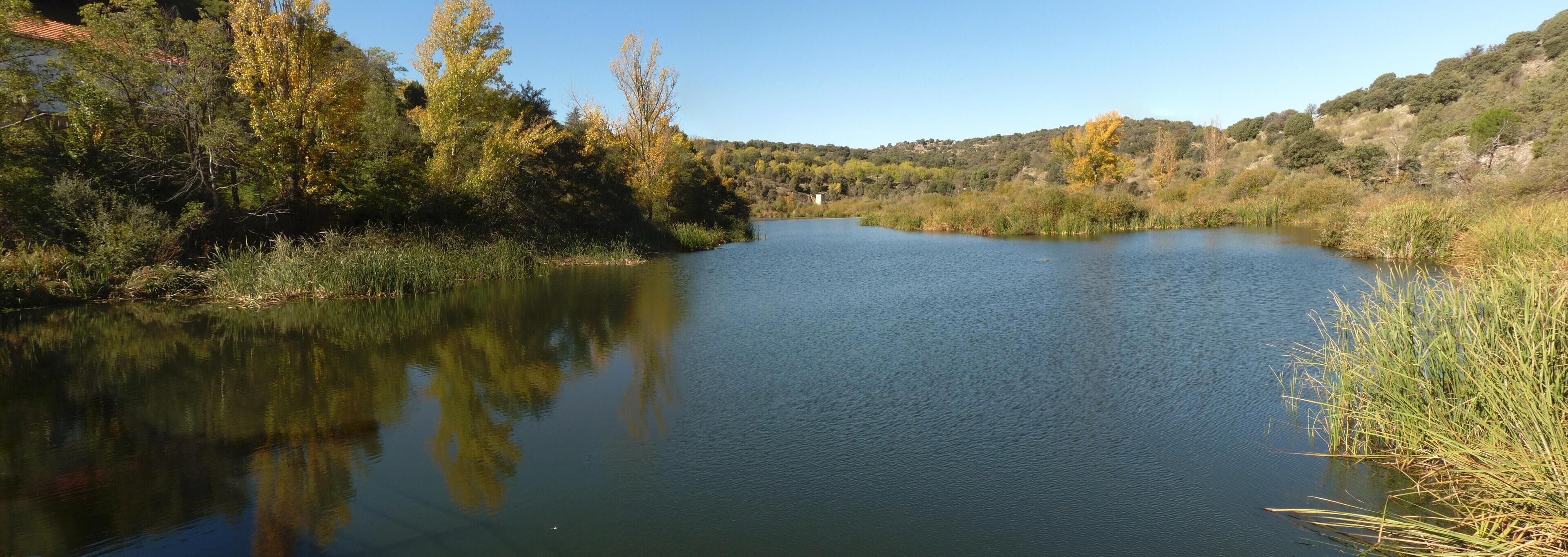 A calm river surrounded by trees and hills.
