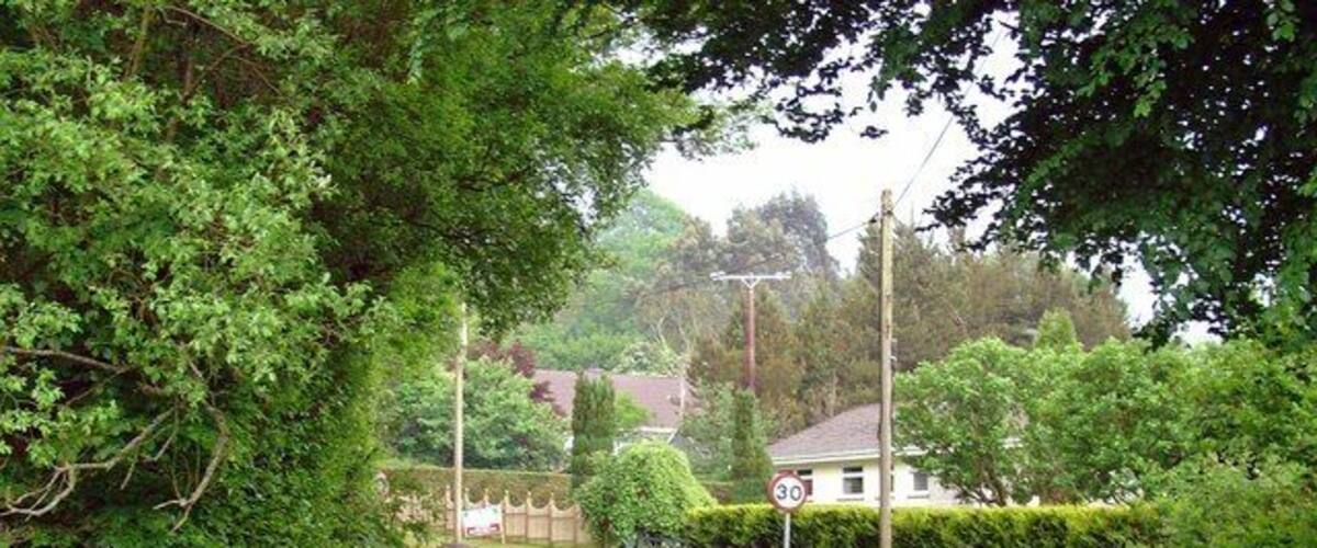 A rural road with stone walls and lush greenery.