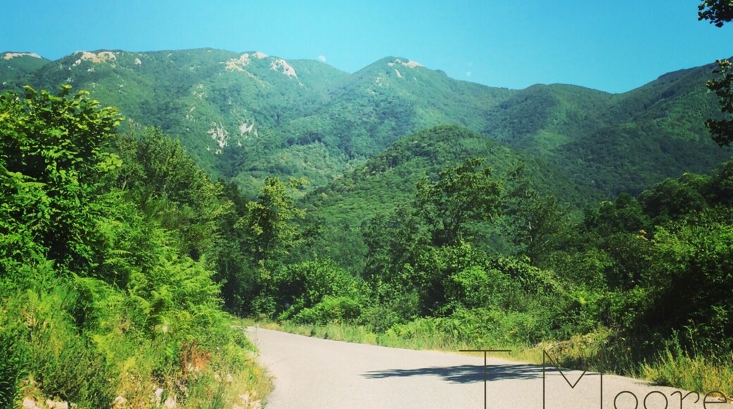 Chasing waterfalls through the lush green regional parks on a hike through the mountains