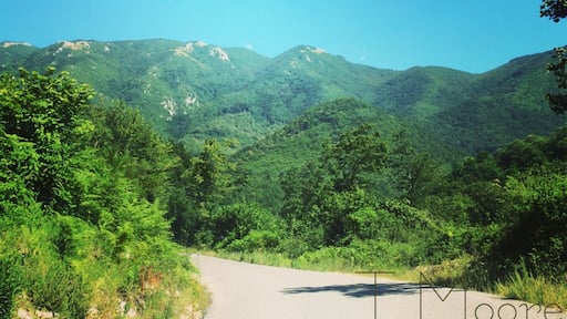 Chasing waterfalls through the lush green regional parks on a hike through the mountains